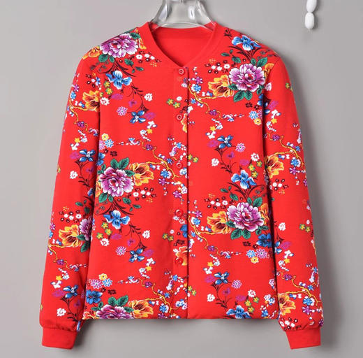 雀说桑蚕丝手工填充内胆秋冬保暖棉袄真丝女大码外套家居服中老年妈妈ALW2511-4 商品图3