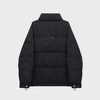 【新品上新】HX 冬季短款立领羽绒服90绒S100544071101/02 商品缩略图1