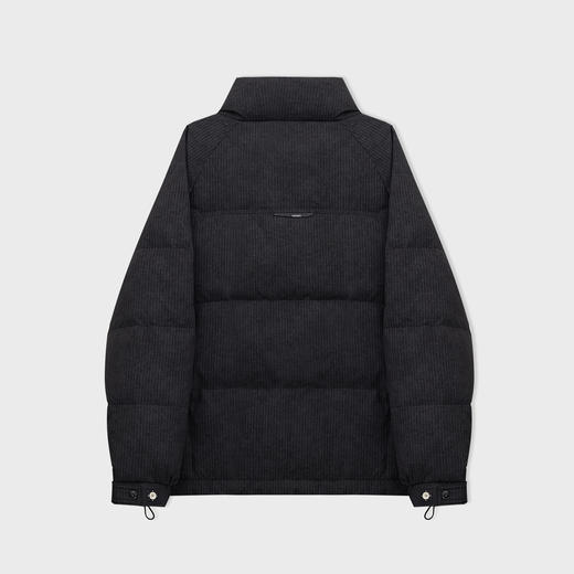 【新品上新】HX 冬季短款立领羽绒服90绒S100544071101/02 商品图1