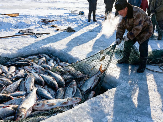 元旦3日【查干湖冬捕】｜传承千年渔猎文化の查干湖冬捕-知北村-雾凇岛-净月潭-冰雪新天地 商品图7