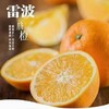 四川凉山雷波脐橙新鲜现货现摘现发当季整箱10斤孕妇水果橙子 商品缩略图3
