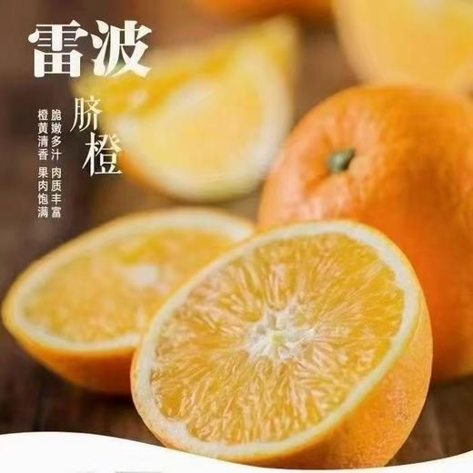 四川凉山雷波脐橙新鲜现货现摘现发当季整箱10斤孕妇水果橙子 商品图3