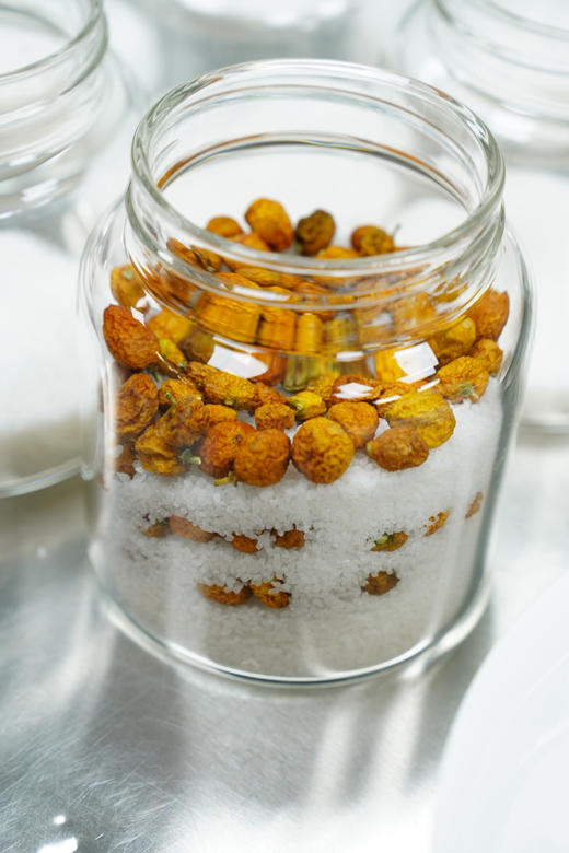 盐渍蟠龙金桔 商品图0