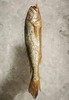 【野生】超低温 拖网大黄鱼 300g-500g/条 商品缩略图2