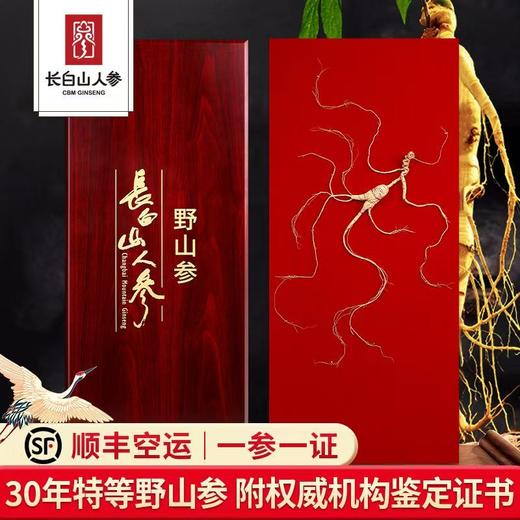 热售【特等野山参木制高档礼盒】长白山人参野山参礼盒高档送礼长辈野山参 商品图0