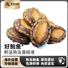海朴 鲍鱼速冻新鲜海鲜300克*3盒 商品缩略图0