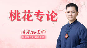 桃花专论