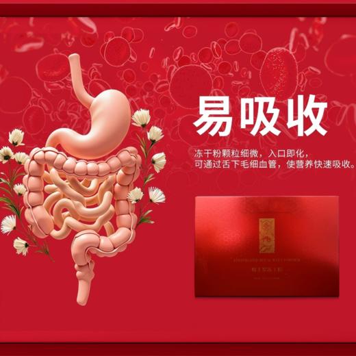 蜂王浆冻干粉0.5g*30瓶/盒 商品图4