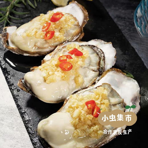 生态乳山生蚝 5斤 | 合作农友生产，产自山东威海乳山，生产者：余锦涛 *【公平贸易农人定价】 商品图9