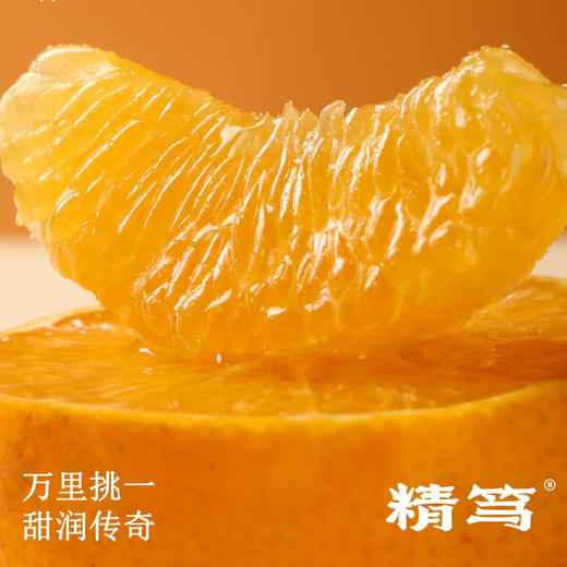 石家庄优选仓库速达，精笃&柑橘川津1号 ，黄金酸甜，脆嫩化渣，嫩如果冻，浓郁风味，首年登场，极少产量，短尝鲜期！ 商品图10