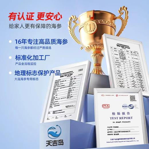 天吉岛 鲜食海参 11-14只（1斤/袋） 商品图3