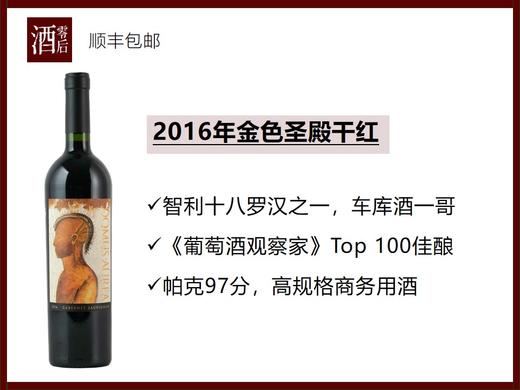 【智利车库酒一哥】智利十八罗汉2016年金色圣殿干红 商品图0