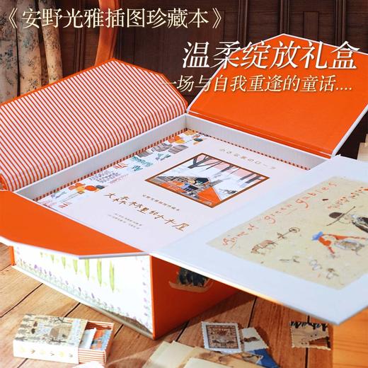 安野光雅插图珍藏本（绿山墙的安妮+大森林里的小木屋）（浪花新媒体专享）特装礼盒版 商品图1
