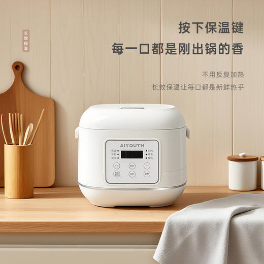 AIYOUTH艾青春4L电饭煲AI-FB408 商品图7