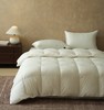 舒雅生活绒耀羽绒春秋被面料,55%棉,45%聚酯纤维,填充,100%白鸭绒（绒子含量90%）（M700g/L800g)12040277/12040278 商品缩略图0