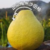 【顺丰快递】正宗广东梅州沙田柚 当季最鲜柚子 新鲜水果 BDF 商品缩略图0