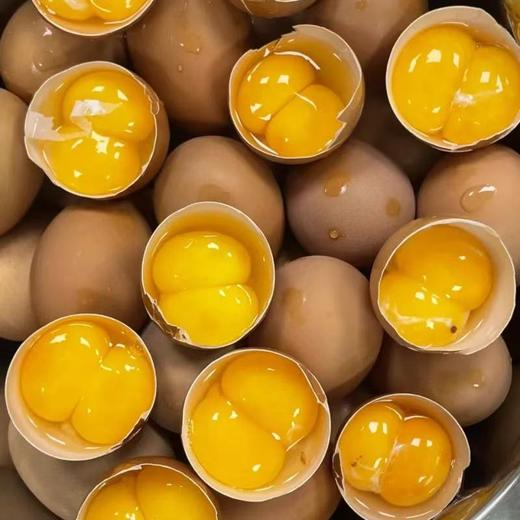 [最农公社]年货节|山东优选双黄蛋鸡蛋10枚/20枚谷物喂养 吃一个双倍营养 商品图3