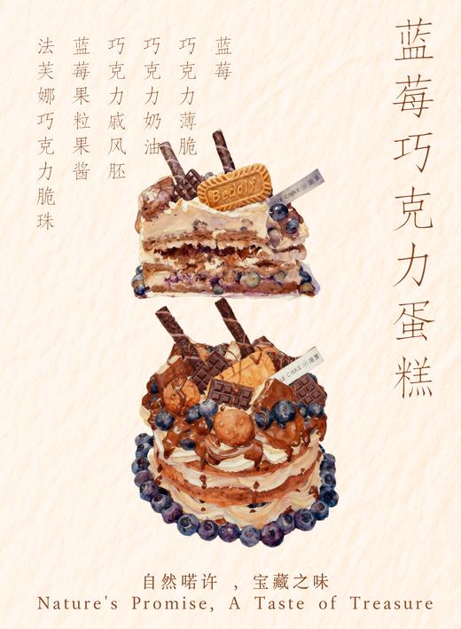 蓝莓巧克力 商品图1