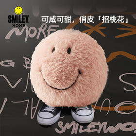 SMILEY 笑脸抱枕球