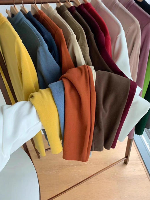 【YW】无忧购【甄选】49元/2件发热绒打底衫德绒加厚半高领贴身上衣内搭打底衫（截单后3-5天发货） 商品图1