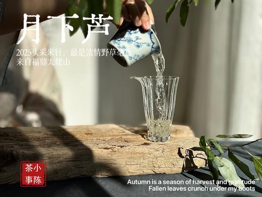 【好茶来了】2025头采米针《月下芦》，毫香浓郁，汤水稠润，浓浓芦荻毫香，诗经里的野草们有了现实的具象~~ 商品图8