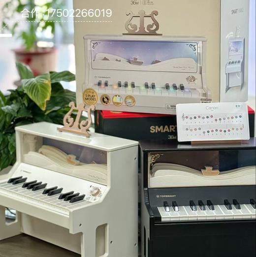 特宝儿木质儿童小钢琴宝宝可弹奏乐器入门多功能电子琴玩具女孩 商品图0