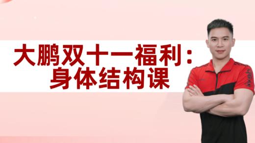 大鹏双十一福利：身体结构课 商品图0