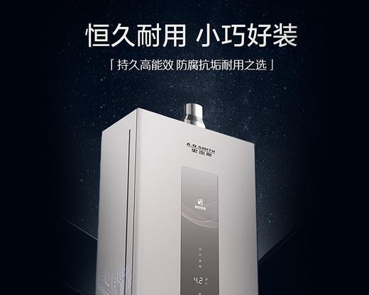 【JSQ31-TBCWi】精钢心燃气热水器 商品图0