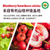 有机蓝莓山楂棒90g/袋|儿童零食棒棒糖水果条配料干净娃娃小吃 商品缩略图1