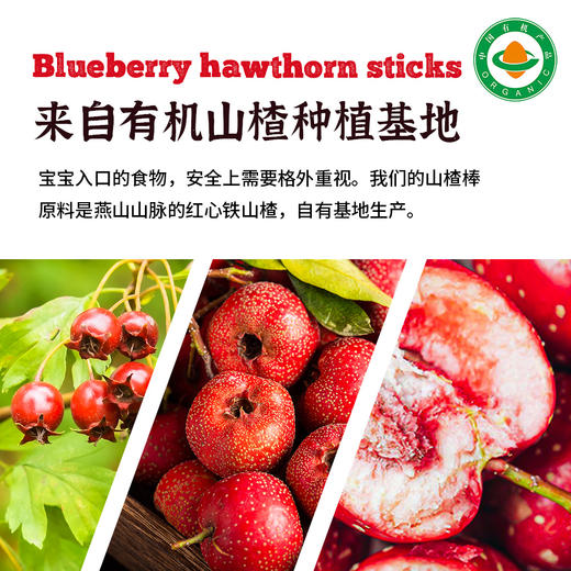 有机蓝莓山楂棒90g/袋|儿童零食棒棒糖水果条配料干净娃娃小吃 商品图1