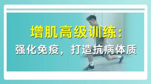 增肌高阶训练：强化免疫 打造抗病体质 商品图0