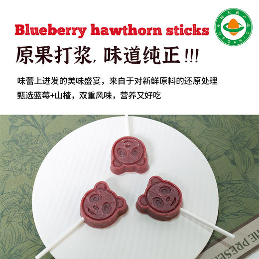 有机蓝莓山楂棒90g/袋|儿童零食棒棒糖水果条配料干净娃娃小吃 商品图2