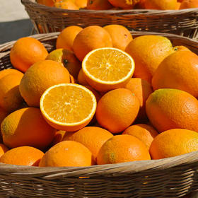 【2份立减5元】新鲜水果 郧阳区青曲纽荷尔脐橙  5斤装（全国包邮，部分地区除外）
