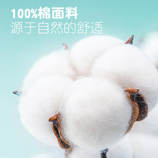 【赠同尺寸枕套】匹鲁亲子款分区五维防护枕儿童成人枕芯 防水 /防污/防发黄 /7A物理抗菌/物理阻螨【护颈深睡枕头专场】 商品图4