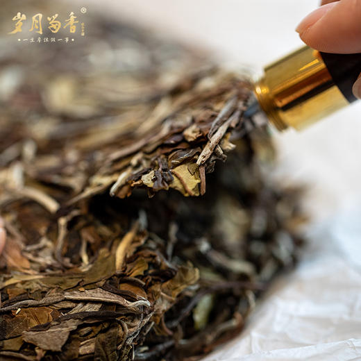 岁月留香·2022冰岛老树白茶贡眉 单饼 350g 商品图4