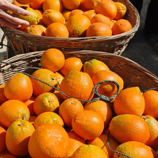【2份立减5元】新鲜水果 郧阳区青曲纽荷尔脐橙  5斤装（全国包邮，部分地区除外） 商品图3