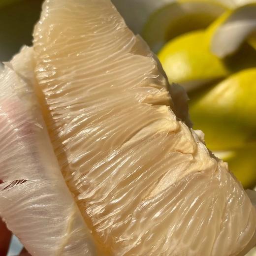 【顺丰快递】正宗广东梅州沙田柚 当季最鲜柚子 新鲜水果 BDF 商品图4