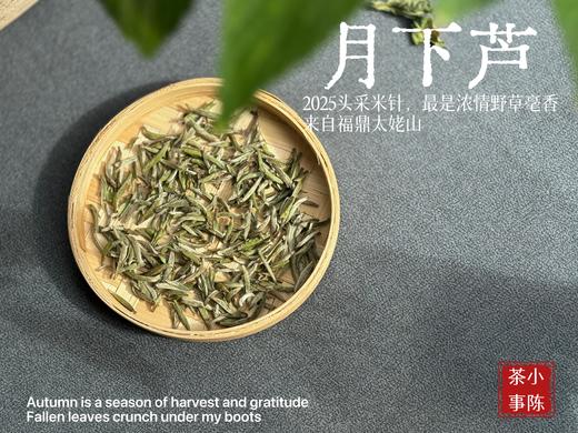 【好茶来了】2025头采米针《月下芦》，毫香浓郁，汤水稠润，浓浓芦荻毫香，诗经里的野草们有了现实的具象~~ 商品图1