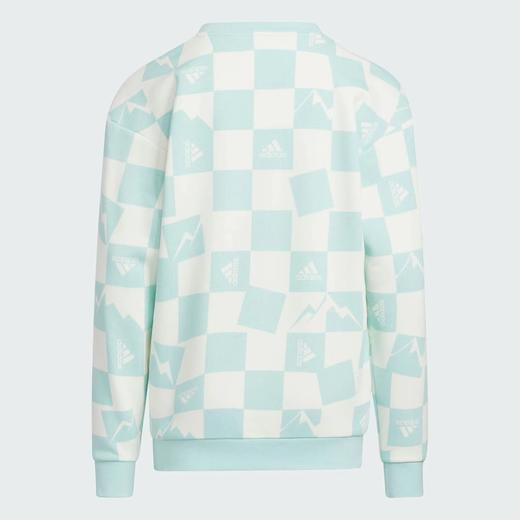 阿迪达斯卫衣79.9元（活动商品，不退不换，线上线下同步销售，不一定有货，介意勿拍）536544-GY 商品图1