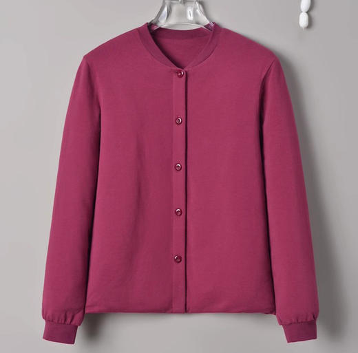 雀说桑蚕丝手工填充内胆秋冬保暖棉袄真丝女大码外套家居服中老年妈妈ALW2511-4 商品图1