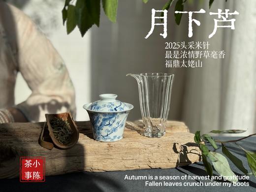 【好茶来了】2025头采米针《月下芦》，毫香浓郁，汤水稠润，浓浓芦荻毫香，诗经里的野草们有了现实的具象~~ 商品图5