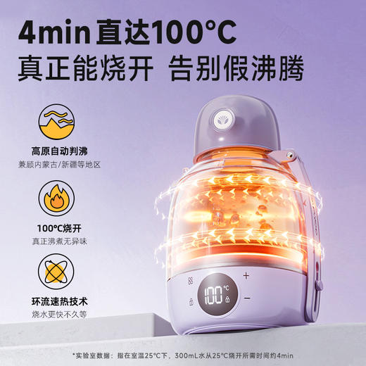 【4min即热烧水】大宇恒温烧水杯DY-TN27S 即热烧水 一机相当于烧水壶/保温壶/调奶器/旅行壶  316L母婴用内胆 13段温度可调 7层真空锁温层 1.5m调节背带 容量600ml 商品图2