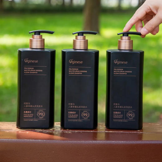 热卖！五黑植萃 滋养头皮 欧橘Orginese 何首乌人参净澈头皮毛囊洗发水 500ml/瓶 商品图7