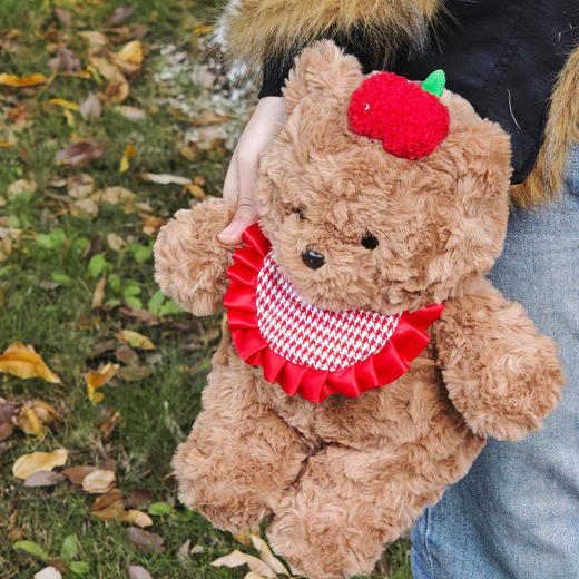 【礼物季】多乐小熊玩偶可爱毛绒公仔安抚娃娃生日礼物-纪念日百货门店同款167950665 商品图2