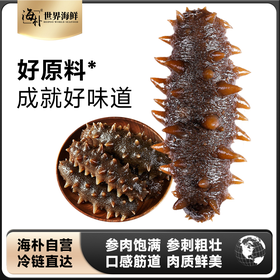 【大连海参】海朴即食海参500g/袋大连海参特产