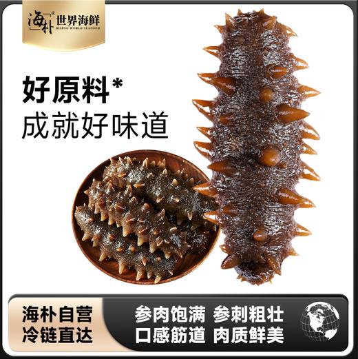 【大连海参】海朴即食海参500g/袋大连海参特产 商品图0