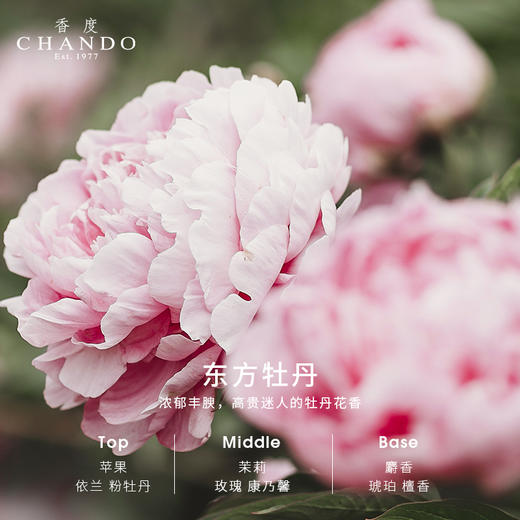 香度沁兰 无火香薰室内持久家用淡香陶瓷熏香精油摆件 高级感礼物 商品图12