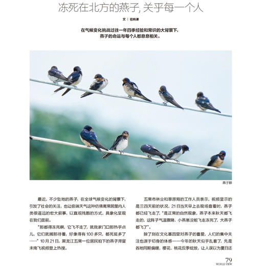 看世界2025年24期：舒淇，美人的剧本 商品图3