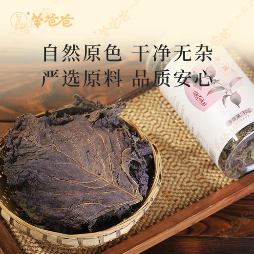 【紫苏】广东紫苏 辛香不燥 煮茶煲汤皆佳 商品图8