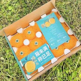 维纳斯 家庭彩箱装4.5-4.7斤